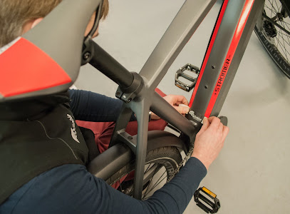 Intérieur magasin de vélos Maisons Alfort